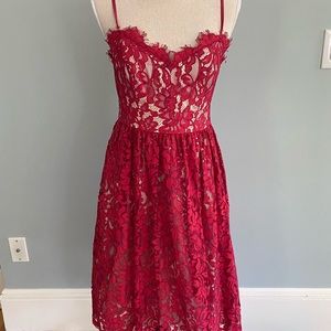 Eliza J - Stunning Lace Cocktail Dress - Ruby